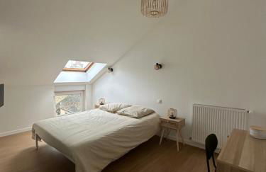 Appartement rénové hypercentre-Charleville-10p - Foto 8