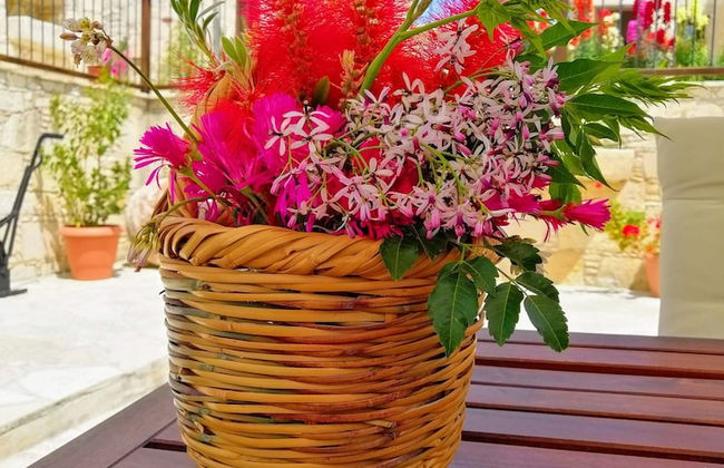 Olympia Traditional Houses - Foto 33