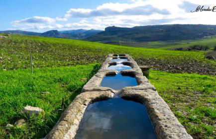 El Pinsapo Casa Rural - Foto 41