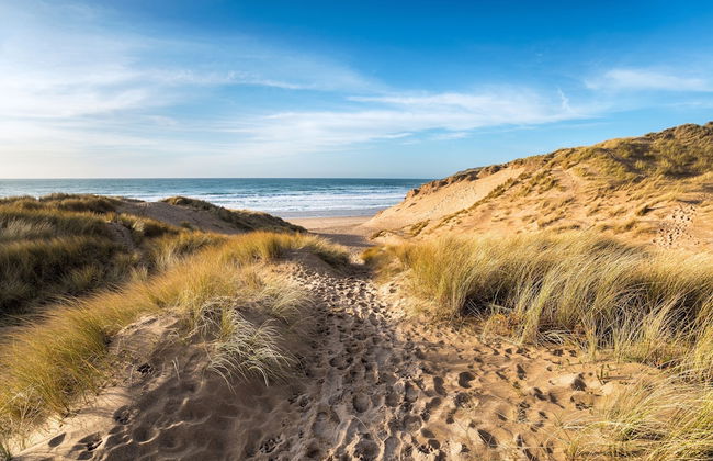 Blue Monkey - Foto 33