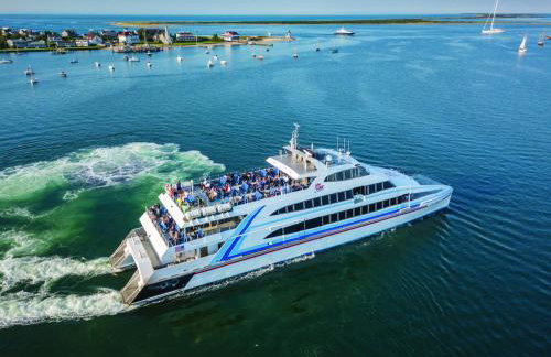 Cozy Spacious Home Walk to the Beach and 1 Mile to Downtown Hyannis - Photo 50