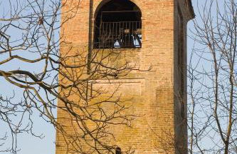 Antica Grancia Benedettina - Foto 21