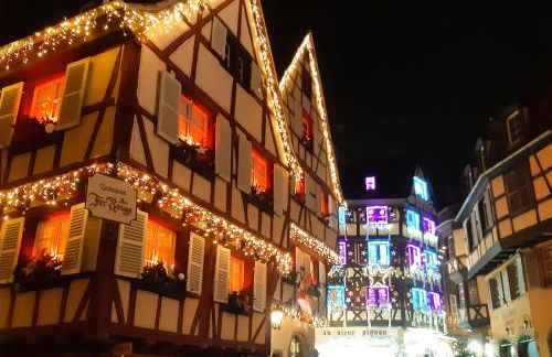 Au coeur de l'Alsace - Gîtes - Photo 47