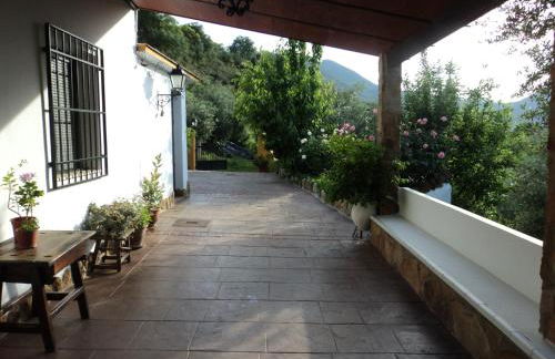 Puente Piedra - Foto 17