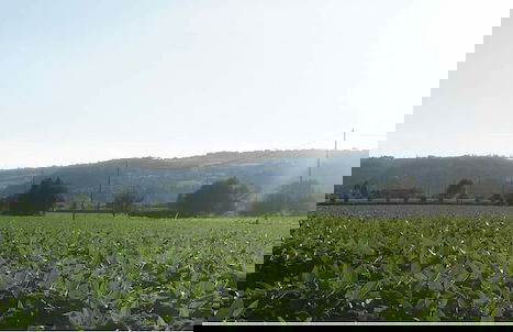 Agriturismo alla Corte - Photo 1