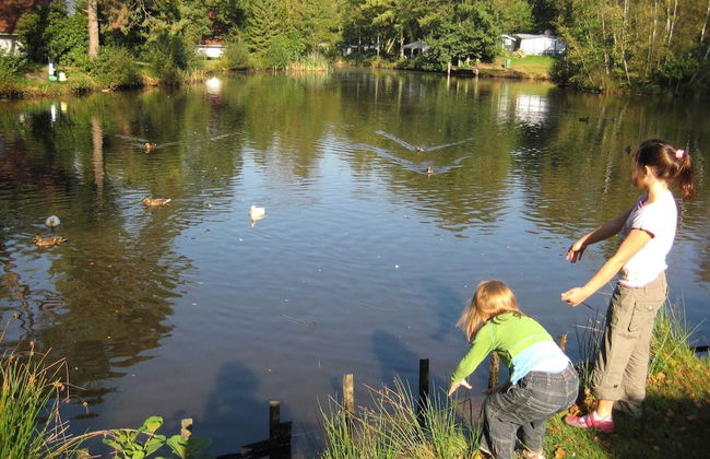 Single-storey House With Garden, in a Natural Area - Photo 13