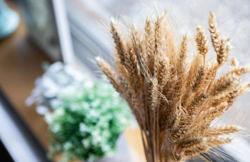 Studio familial de charme 3 Epis Belvédère - Foto 22