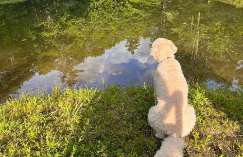 Not-so-tiny, Tranquil, Pond front Bungalow - Foto 18