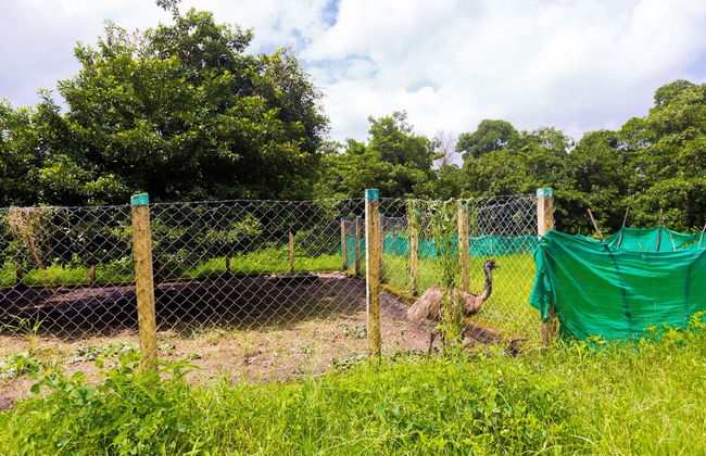 Shetty Farms - Foto 79