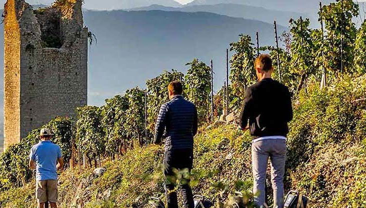 Balade en segway dans Chignin + dégustation de vins