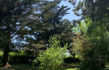 Chalet de vacances au bord de mer VER SUR MER - Foto 6