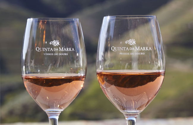 Quinta da Marka - Photo 45