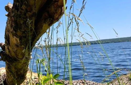 Ferienwohnung 1 Familie Siegl - Foto 19
