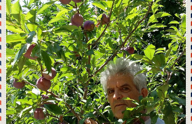 Exclusive Cottage in S West Crete in a Quiet Olive Grove Near the sea - Foto 8