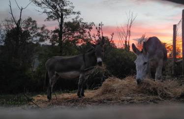 Agriturismo Podere Asche - Photo 37