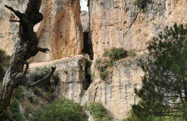 Saluda Alta - Foto 73