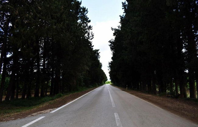 Ferienhaus Villa Stella - Foto 1