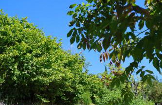 Terra di Ea - Foto 56