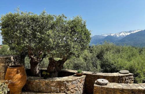 Maison Théia, entre mer et montagne Samonas - Foto 40