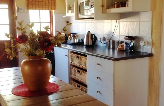 Fox and Squirrel - Foto 10