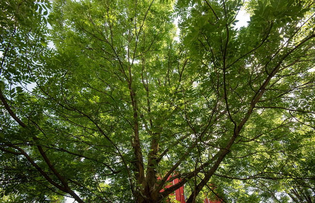 Appartements in Graz beim LKH - Foto 53