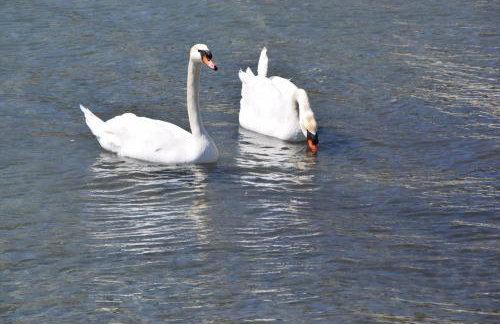 CLIO'S BEACH HOUSE - DELUXE BEACH FRONT PROPERTY - Foto 33