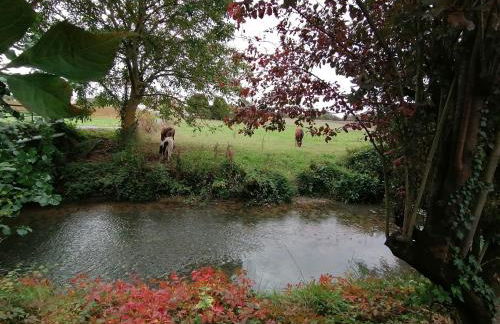 Cocottes & Colibri - Foto 39