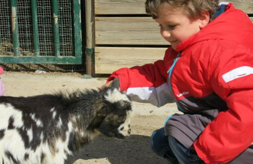 Apartamentos Rurales Les Barnedes - Foto 27