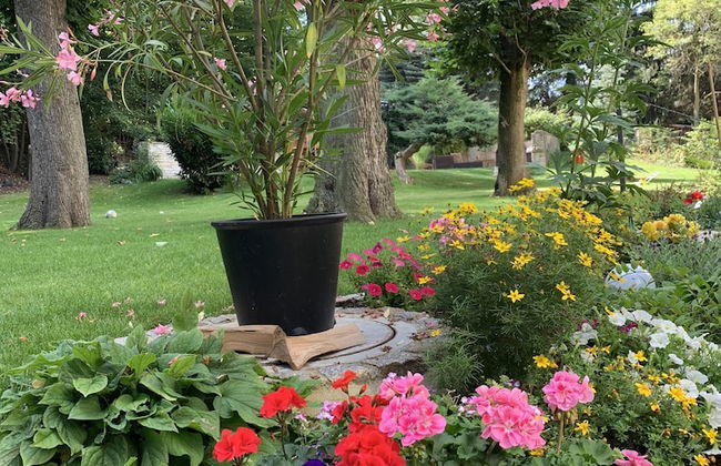 Ferienwohnung Siebenlehn Am Romanus Bad - Foto 13