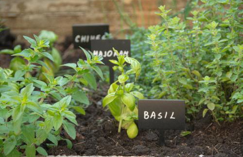 Villa Casia - Foto 36