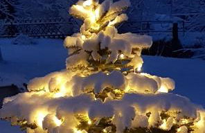 Ferienwohnungen im Landstreicherhaus - Foto 24