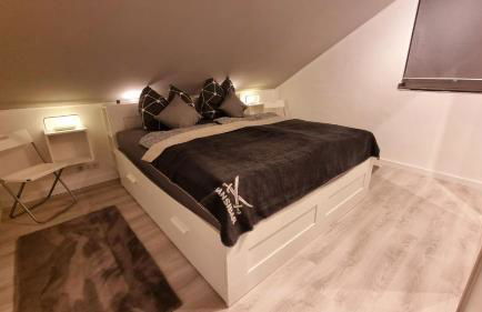 Wohnen am Stadtgarten - ruhig und zentral gelegen - Foto 5