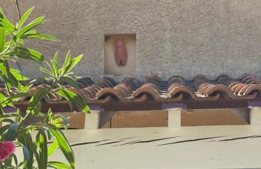 Maison Cigale Ramatuelle - Foto 23