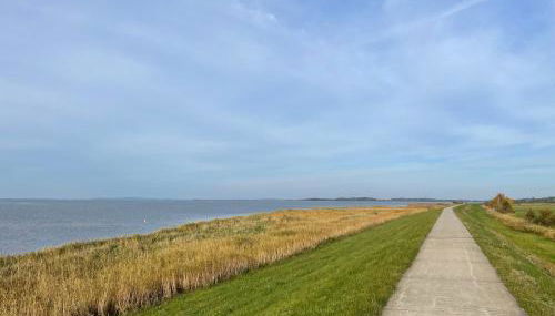 Ferienhaus mit Reetdach - Photo 3