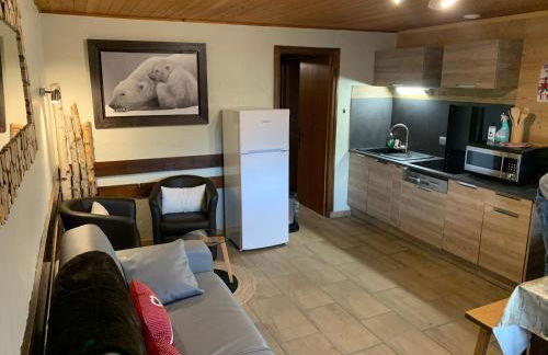 APPARTEMENT PLEIN SUD AUX SAISIES n3 - Foto 27