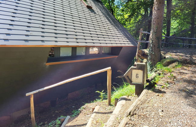 Bosco della Bella 6 - Foto 37