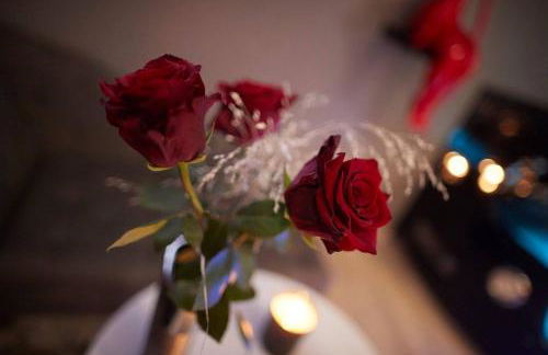 Crystal Love Appart - Foto 15