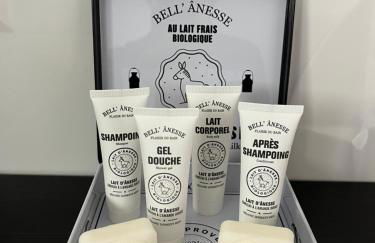 Appartement centre de Roanne 38m2 - Foto 13