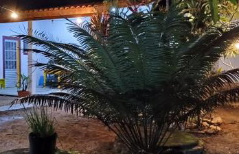 Casa da Flor - Photo 36