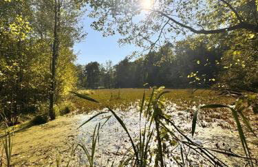 GrandBytyń House - Foto 64