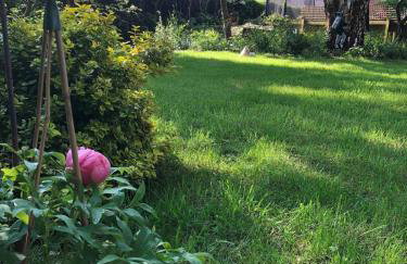 Cheshire Country Cottage, Bulkeley - Foto 22