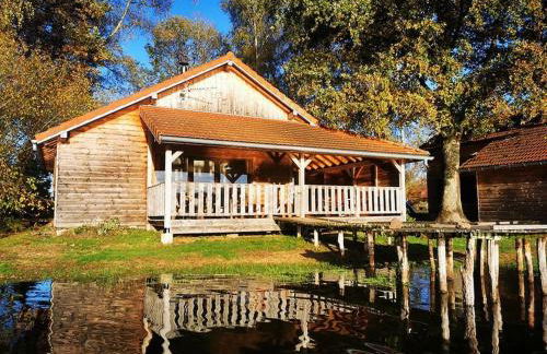 Le Nénuphar - Chalet avec terrasse - Foto 11