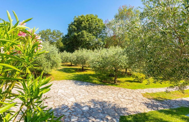 Villa Di Vino in Orbani i - Foto 46