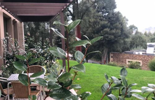 Bosque da Harmonia - Foto 37