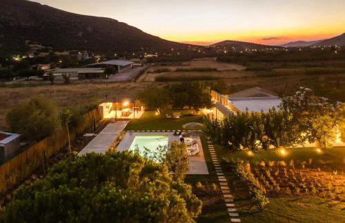 The Attican Villa & Estate - Foto 51