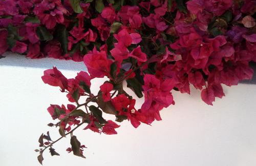 Cozy summer house - Foto 14