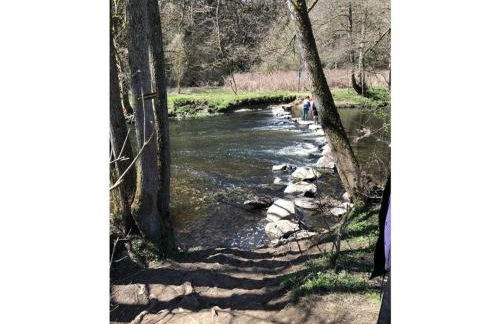 Holiday Home Am Beulskopf - Foto 49