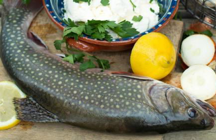 Hollweck´s Landoase - Foto 29