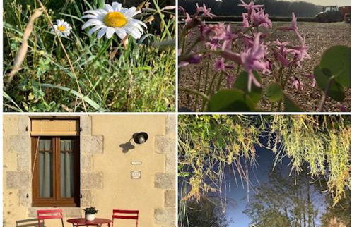 Gîte entre Loire et Campagne - Photo 21