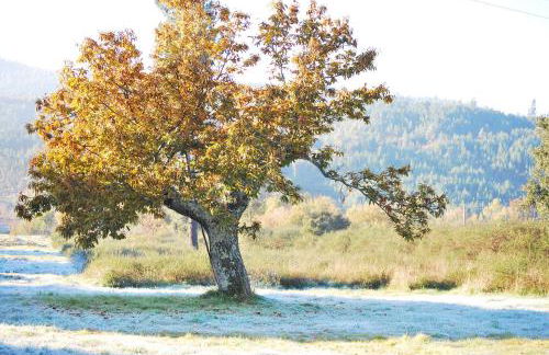 Alojamentos Turísticos São Torcato Moradal Turismo Espaço Rural - Photo 8